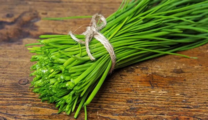 what are chives