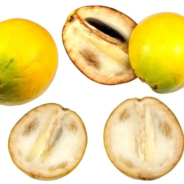  Abiu (Pouteria caimito) fruits