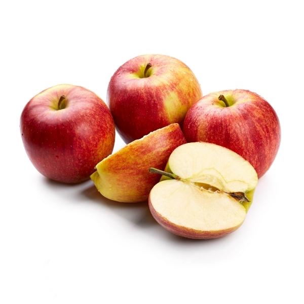 Apple (Malus domestica)
