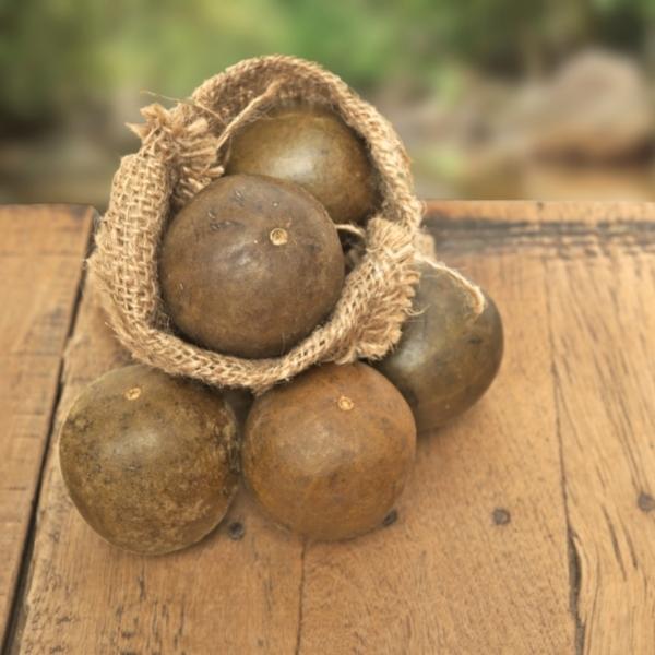 Arhat (Siraitia grosvenorii, also known as monkfruit and luohan guo) Arhat (Siraitia grosvenorii, also known as monkfruit and luohan guo)