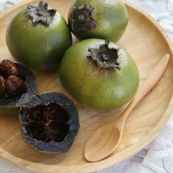 Black sapote (Diospyros nigra, also known as chocolate pudding fruit and black soapapple) Black sapote (Diospyros nigra, also known as chocolate pudding fruit and black soapapple)