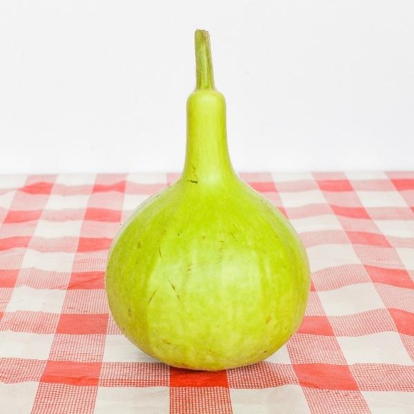 Bottle gourd (Lagenaria siceraria, also known as Calabash, white-flowered gourd, long melon, birdhouse gourd, New Guinea bean, and Tasmania bean) Bottle gourd (Lagenaria siceraria, also known as Calabash, white-flowered gourd, long melon, birdhouse gourd, New Guinea bean, and Tasmania bean)