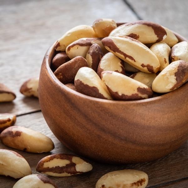 Brazil nut (Bertholletia excelsa, also known as para nut) Brazil nut (Bertholletia excelsa, also known as para nut)