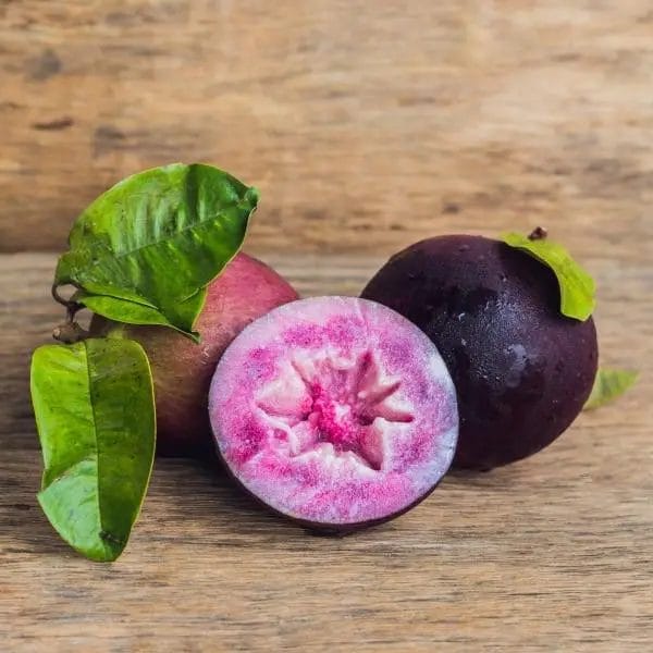 Caimito (Chrysophyllum cainito, also known as cainito, star apple, purple star apple, golden leaf tree, abiaba, pomme de lait, estrella, milk fruit, and aguay) Caimito (Chrysophyllum cainito, also known as cainito, star apple, purple star apple, golden leaf tree, abiaba, pomme de lait, estrella, milk fruit, and aguay)