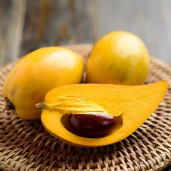 Canistel fruit (Pouteria campechiana, also known as eggfruit, yellow sapote, and cupcake fruit)