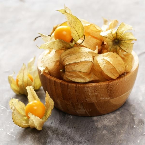 Cape gooseberry (Physis peruviana, also known as goldenberry, ground cherry, aguaymanto, and uchuva) Cape gooseberry (Physis peruviana, also known as goldenberry, ground cherry, aguaymanto, and uchuva)