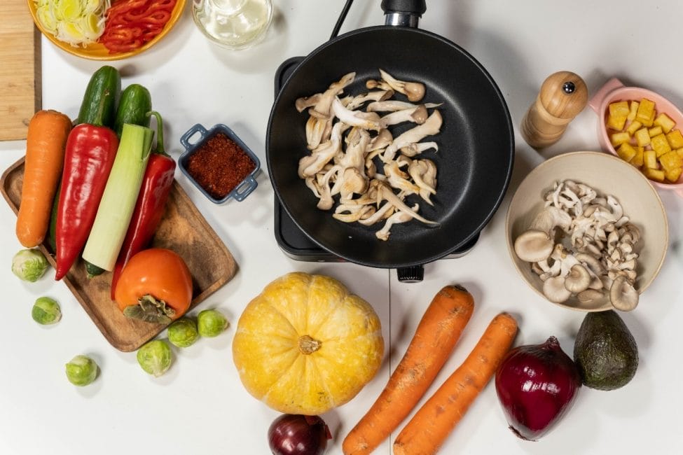 Which Cooking Appliance is Better; a Hot Plate or an Electric Stove