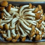 Are Mushrooms a Good Vegan Substitute for Meat?