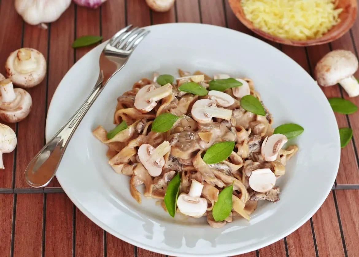 Five Ways Mushrooms Can Replace the Need for Animal-Based Diet in Our Daily Lives